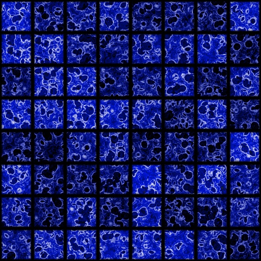 Variation 1