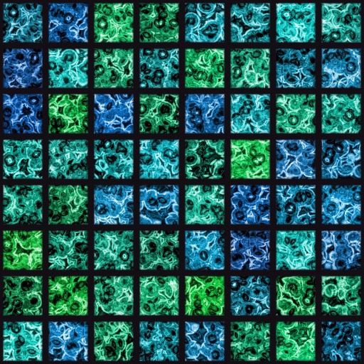 Variation 3
