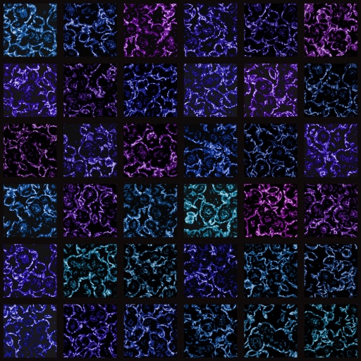 Variation 8