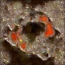 Embeded