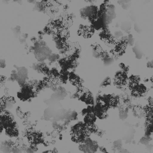 Bump Map