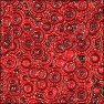 Fiesta Patterns
