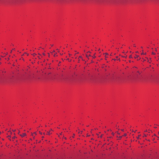 Variation 7