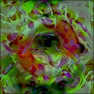 Abstraction Painter Op
