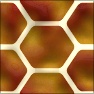 Cocoon