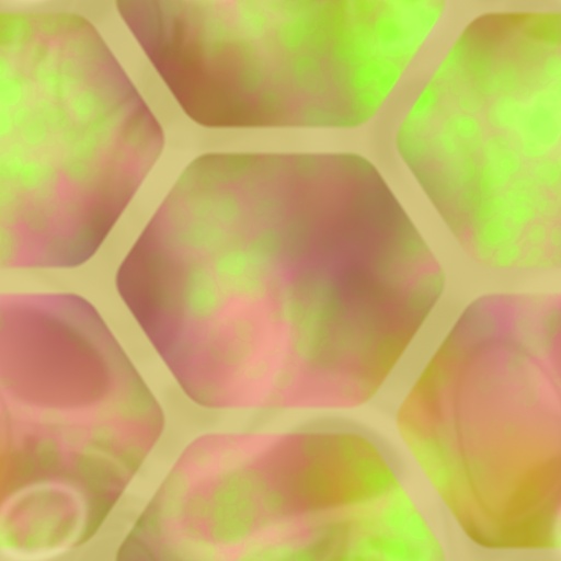 Variation 2
