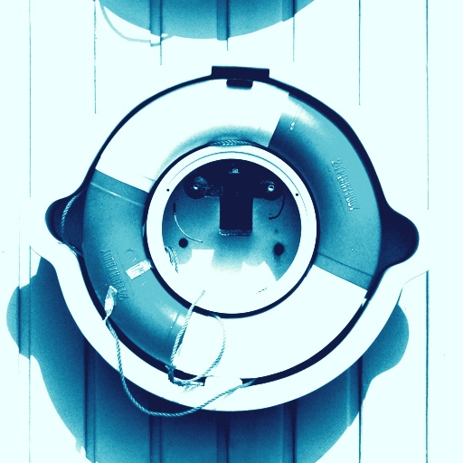 _T_Cyanotype