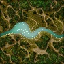 Forest trails