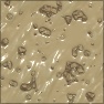 Pebbles in Wet Sand