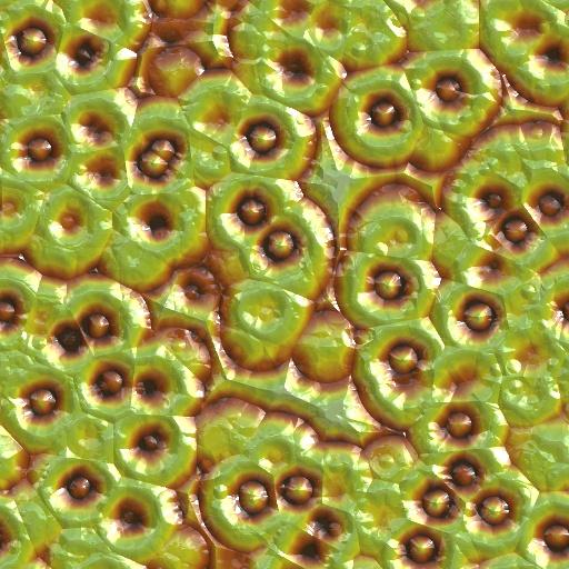 Variation 2