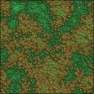 Slimy Fungus