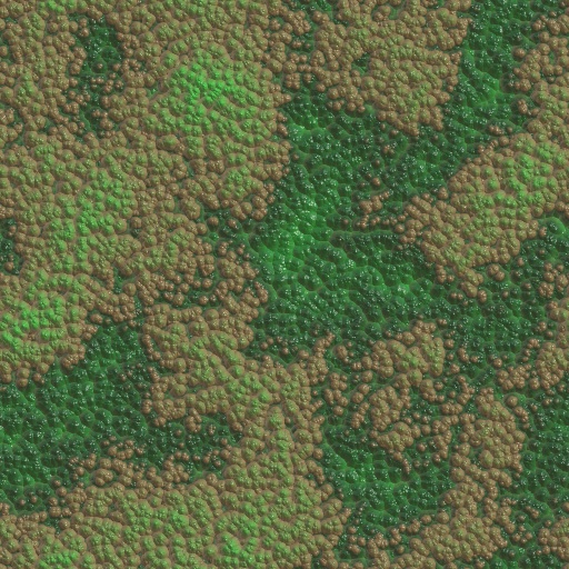 Variation 1
