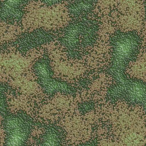 Variation 7