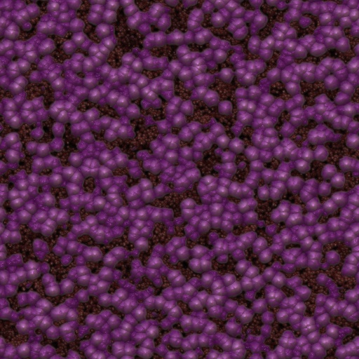 Variation 3