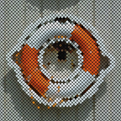 Variation 6