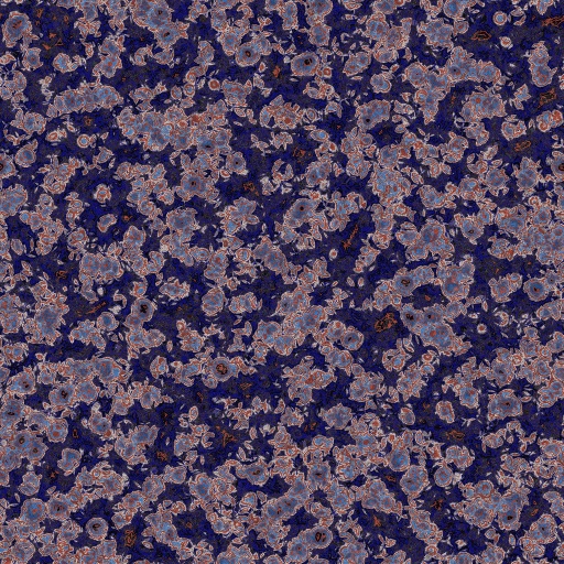 Variation 4