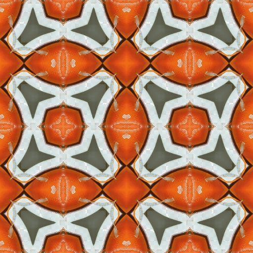 Variation 5