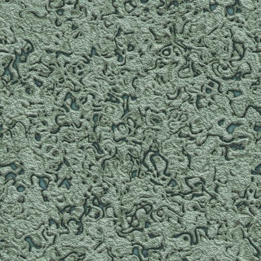 Variation 7