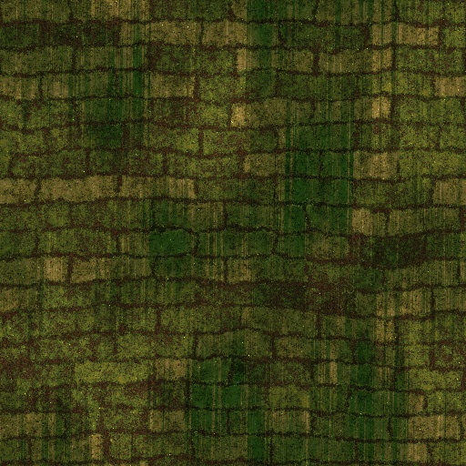 Variation 4