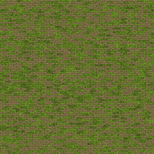 Variation 6