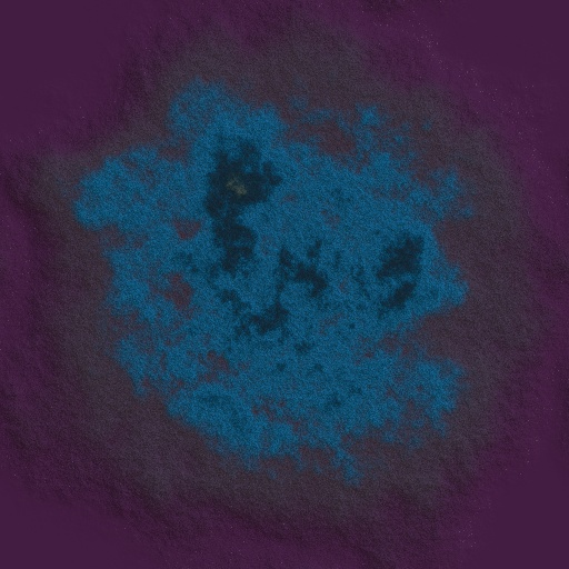 Variation 3