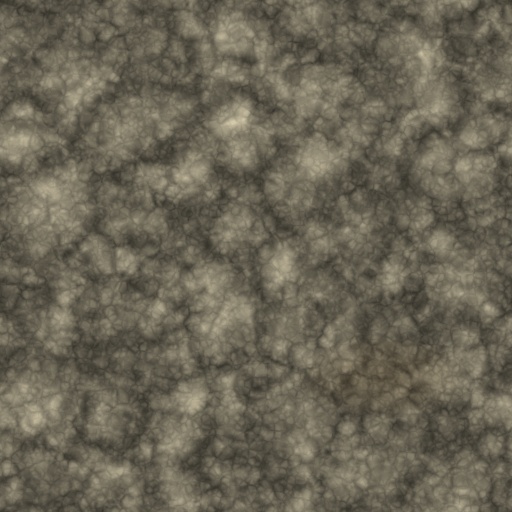 Diffuse Map