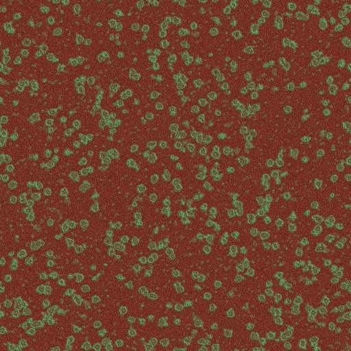 Variation 2
