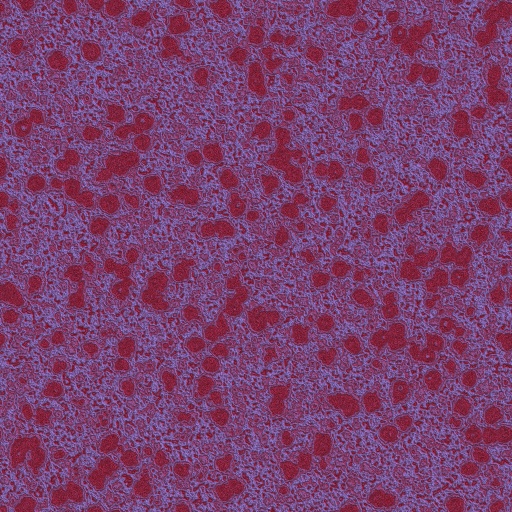 Variation 4