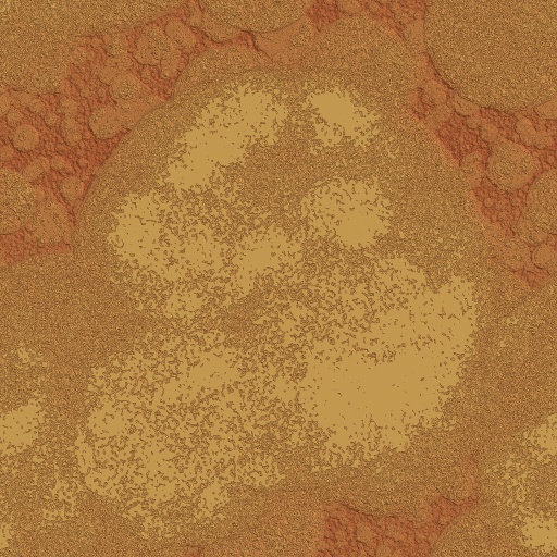 Variation 1