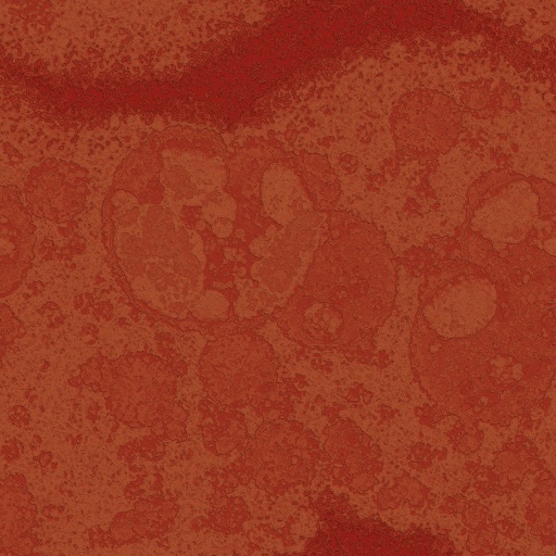 Variation 7