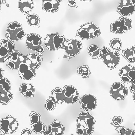 Bump Map