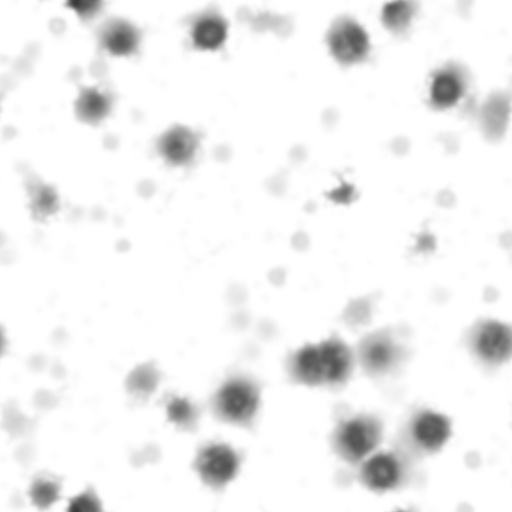 Bump Map