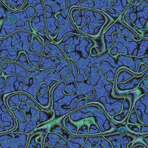 Variation 8