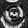 Chocolate Cookie Grunge