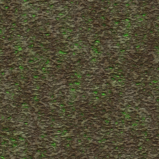 Variation 6