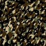 LM_Camo1