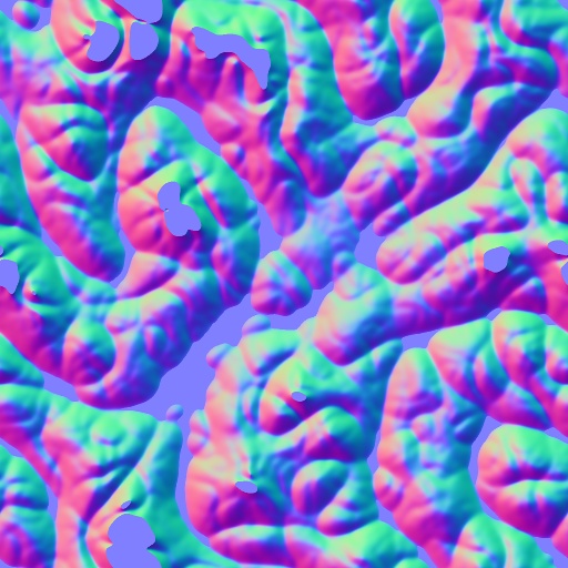 Normal Map