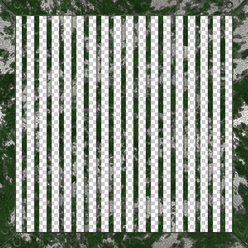 Variation 1