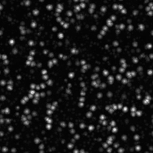 Bump Map