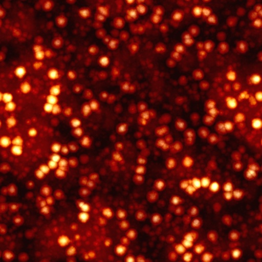 Diffuse Map