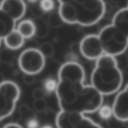 Bump Map