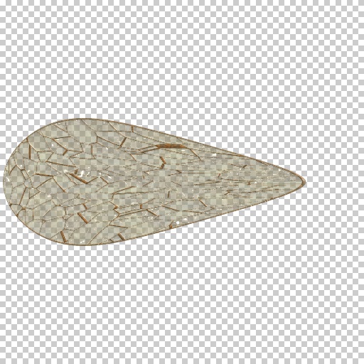 bug wings