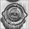 Electron Microscope