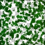 Foxxee's Leafy Canopy ll