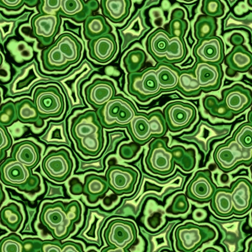 Variation 8