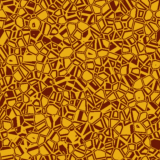 Variation 1