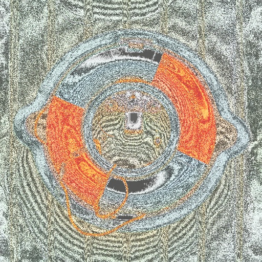 Variation 8