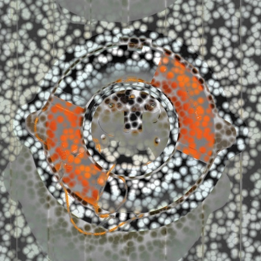 Variation 1