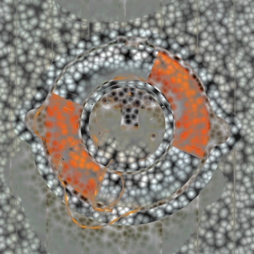 Variation 3