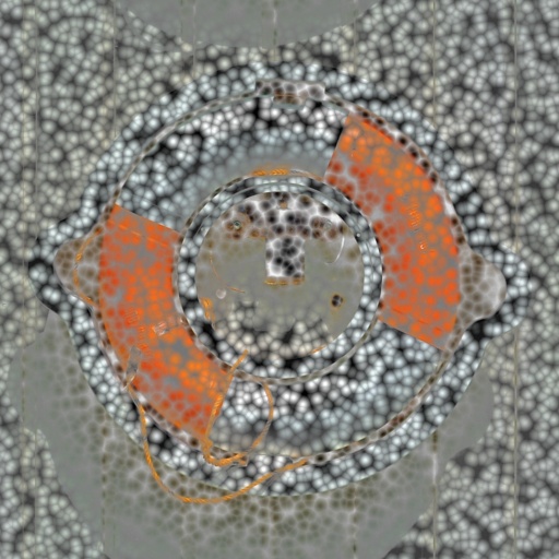 Variation 4